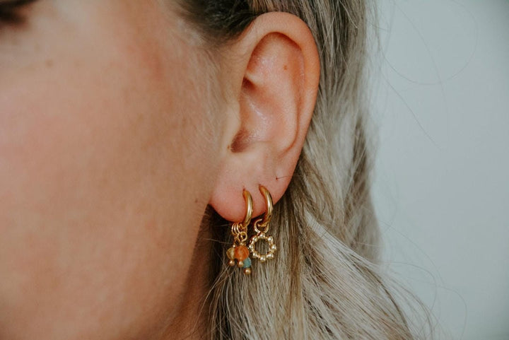 Joanna Lovely Stone Earrings