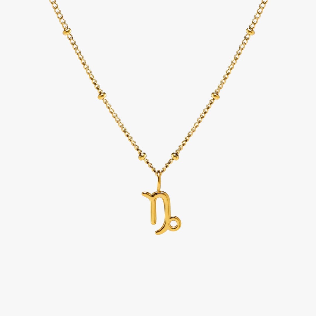 Zodiac Harmony Charm Necklace