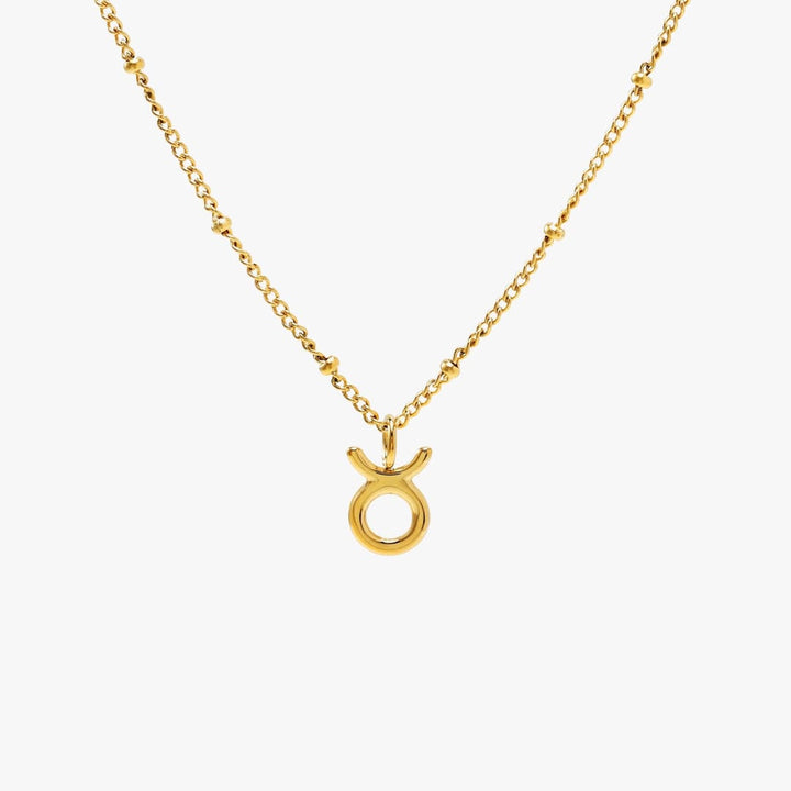 Zodiac Harmony Charm Necklace