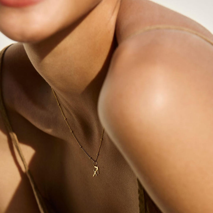 Zodiac Harmony Charm Necklace