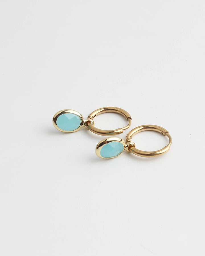 Dana Sleek Oval  Stone Earrings